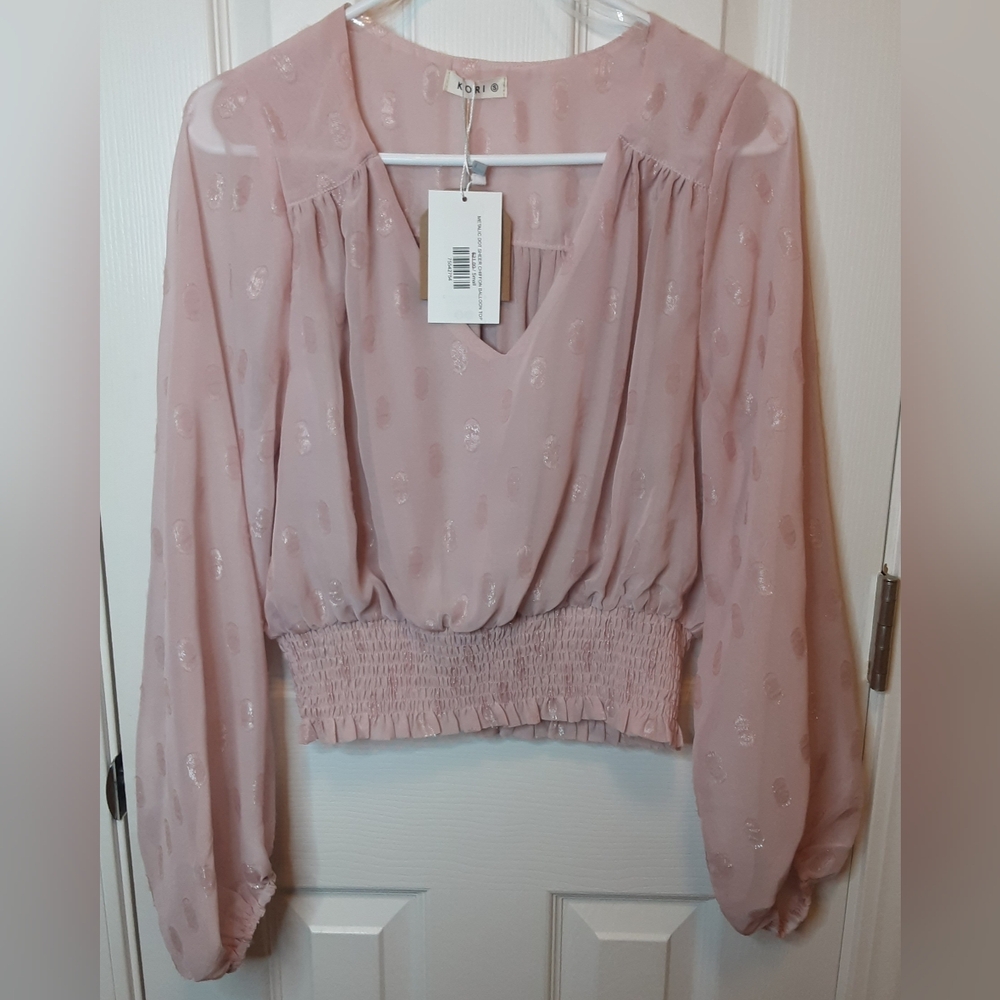 NWT L/S Metallic Dot Sheer Chiffon Balloon Top - Sz. Small